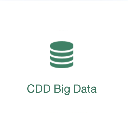 CDD Big Data